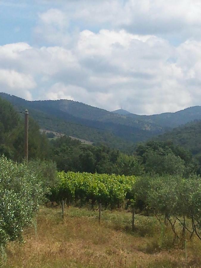 Les Anes De Petit Jean Hotell Pierrefeu-du-Var Exteriör bild