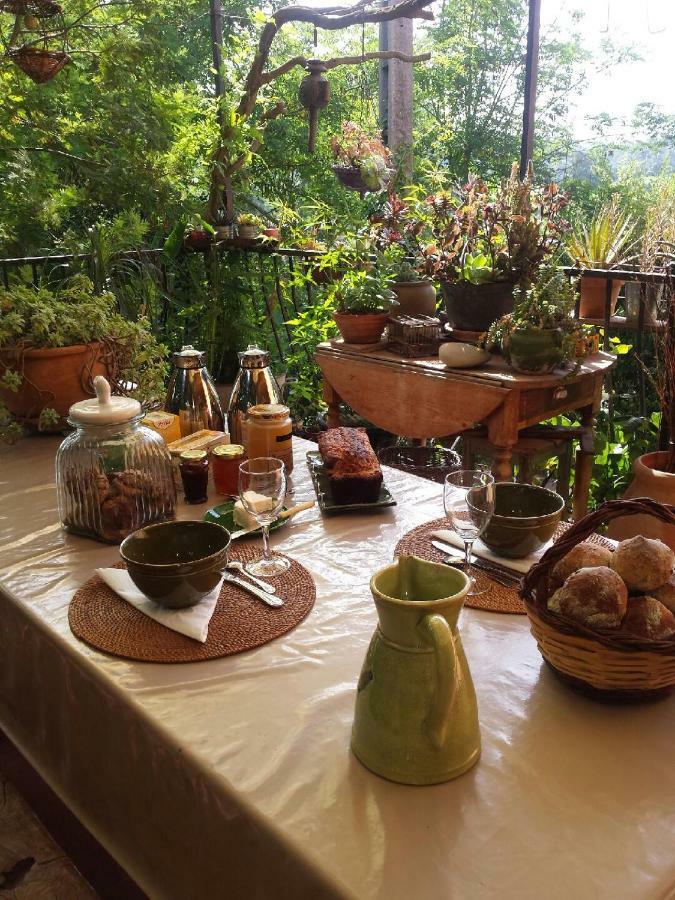 Les Anes De Petit Jean Hotell Pierrefeu-du-Var Exteriör bild
